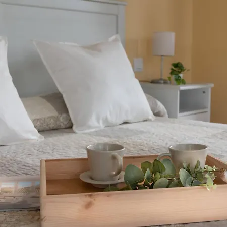 Fgdr341d El Cocodrilo Apartmán *