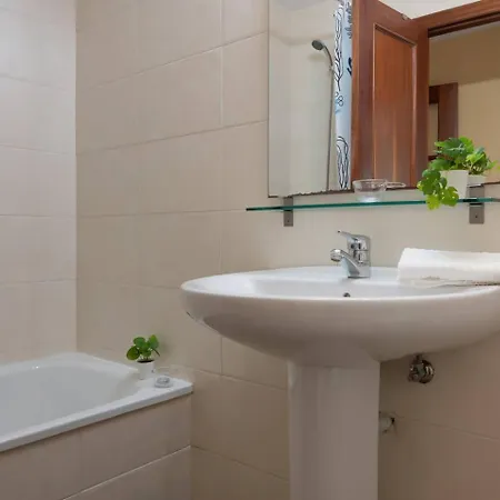 Fgdr341d El Cocodrilo *